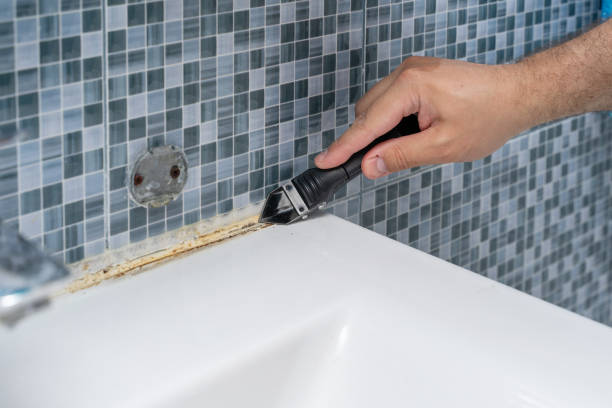 Best Basement Mold Remediation in Ellis, KS