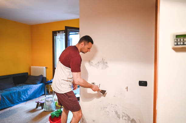 Best Mold Remediation for Specific Building Types in Ellis, KS